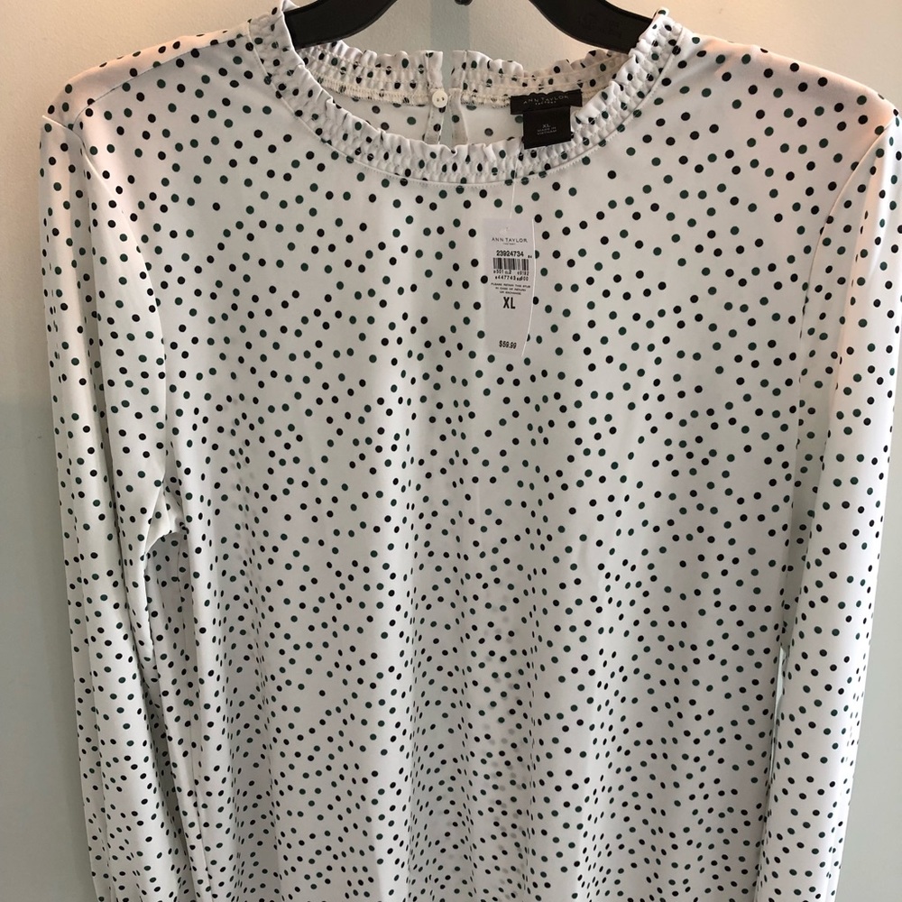 Beautiful Ann Taylor blouse